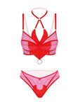 Shedevil Lingerie Set