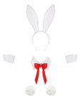 PLAYFUL BUNNY ACCESSORIES