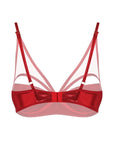 Scarlet Seduction Bra - baedstories